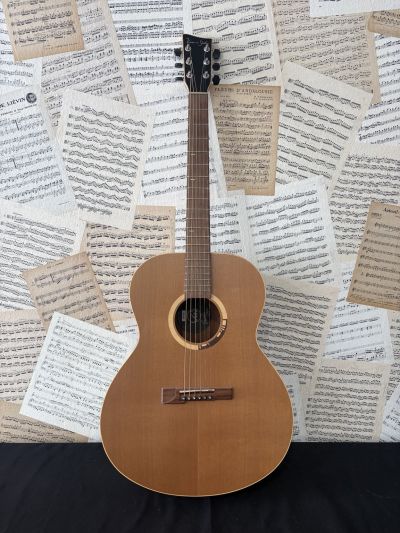 Instruments neufs en promotion-Guitares-VGS GB32 - L'Atelier de Musique